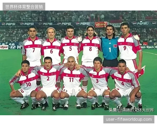 土耳其队以强劲势头备战世界杯,友谊赛对阵委内瑞拉将是重要检验 土耳其队以强劲势头备战世界杯,友谊赛对阵委内瑞拉将是重要检验